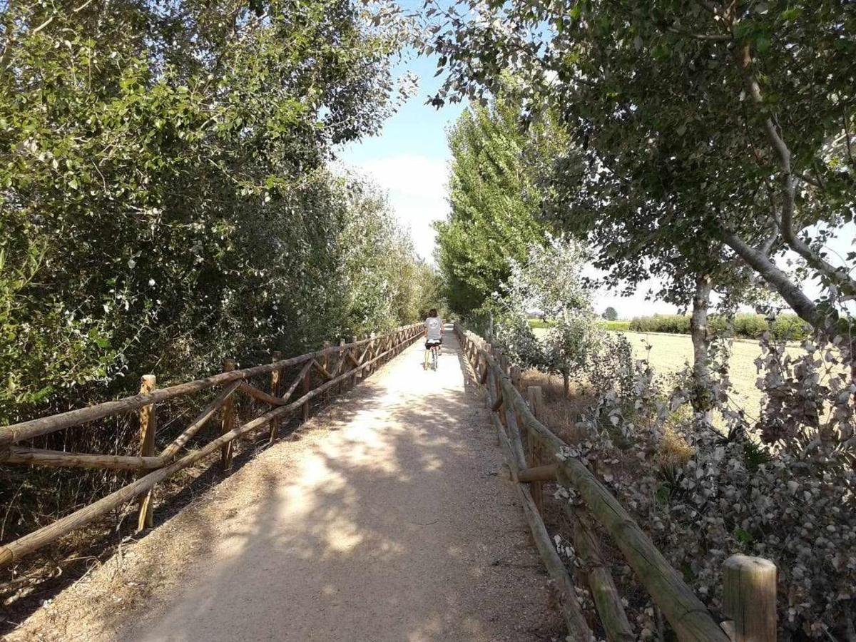 Casetes Del Delta Sant Jaume d'Enveja Εξωτερικό φωτογραφία